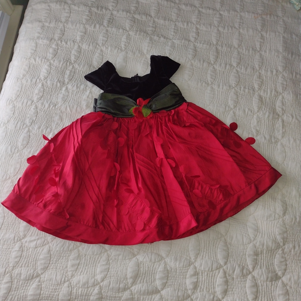 IRIS & IVY TODDLER BABY GIRL DRESS SIZE 2T